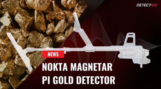 Nokta Pulse Induction detector - MAGNETAR Gold Detector